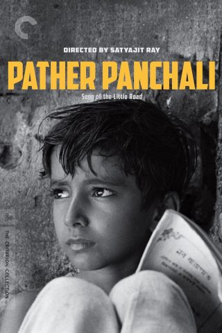 1955 / La canción del camino / India