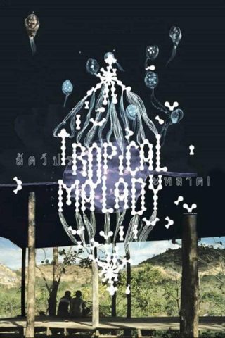 2004 / Tropical malady / Tailandia