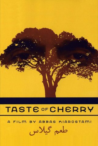 1997 / El sabor de las cerezas / Irán